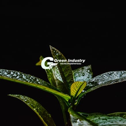 มาตรฐานอุตสาหกรรมสีเขียว