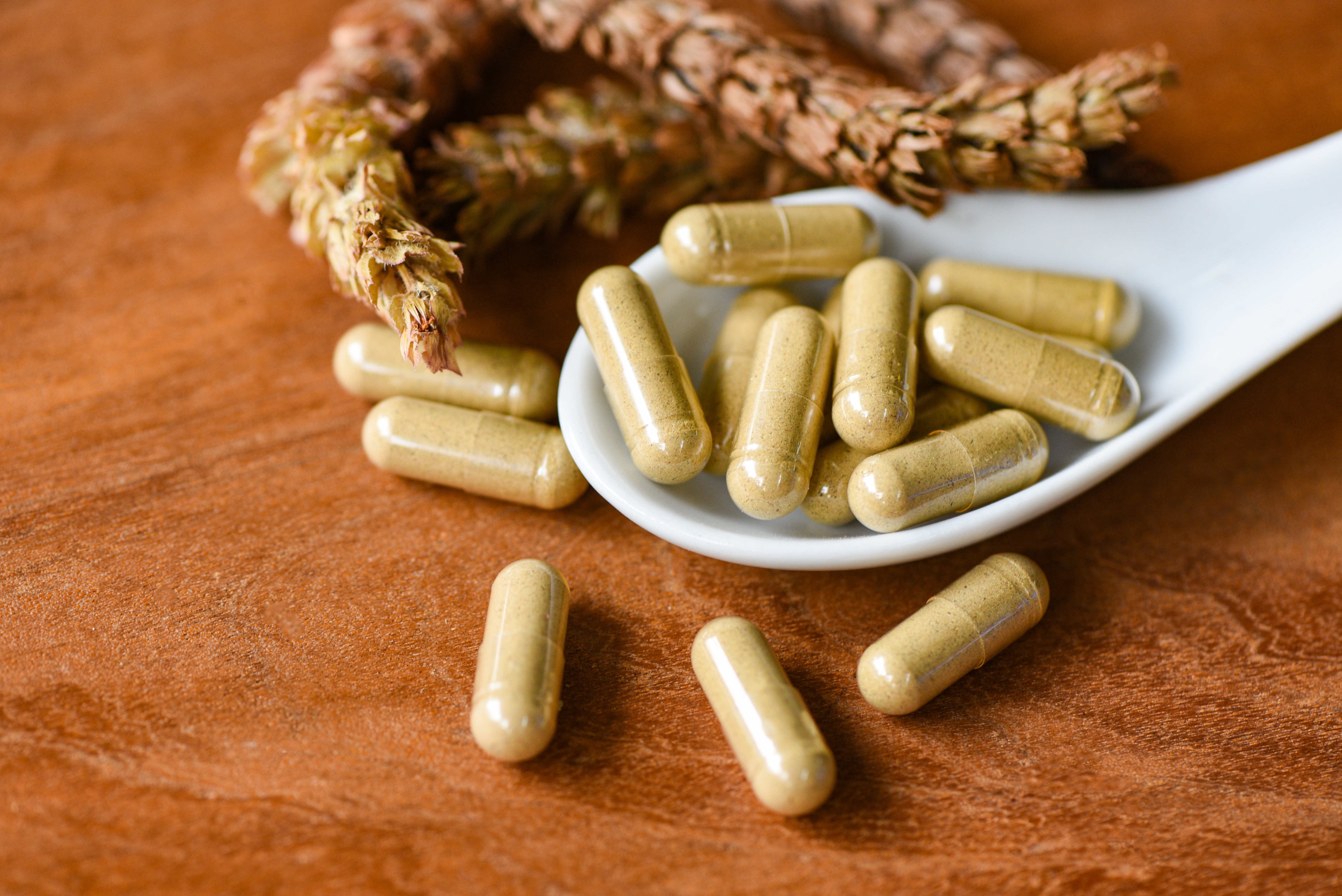 รับผลิตยาสมุนไพรพัฒนา จากสมุนไพรต่างประเทศ (Advanced Herbal Medicines)