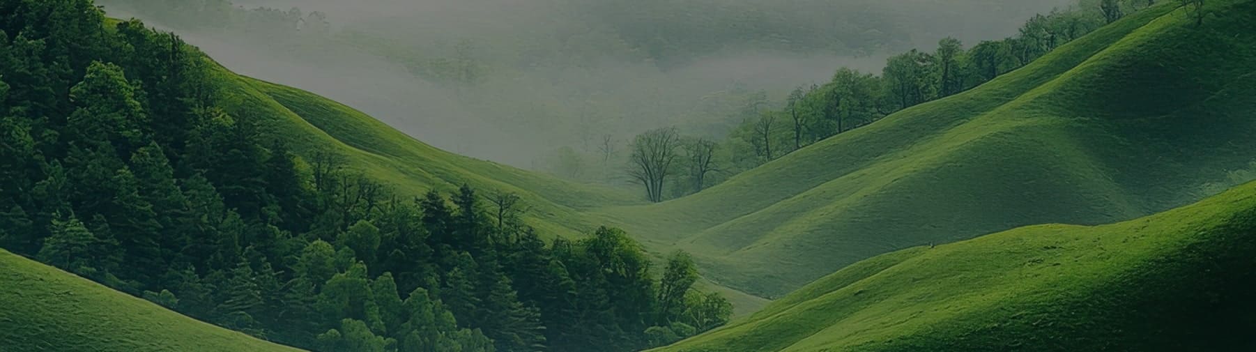 คำมั่นสัญญาของเรา