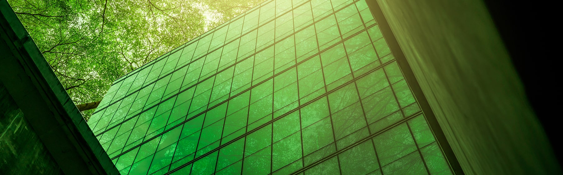 ประวัติความเป็นมา