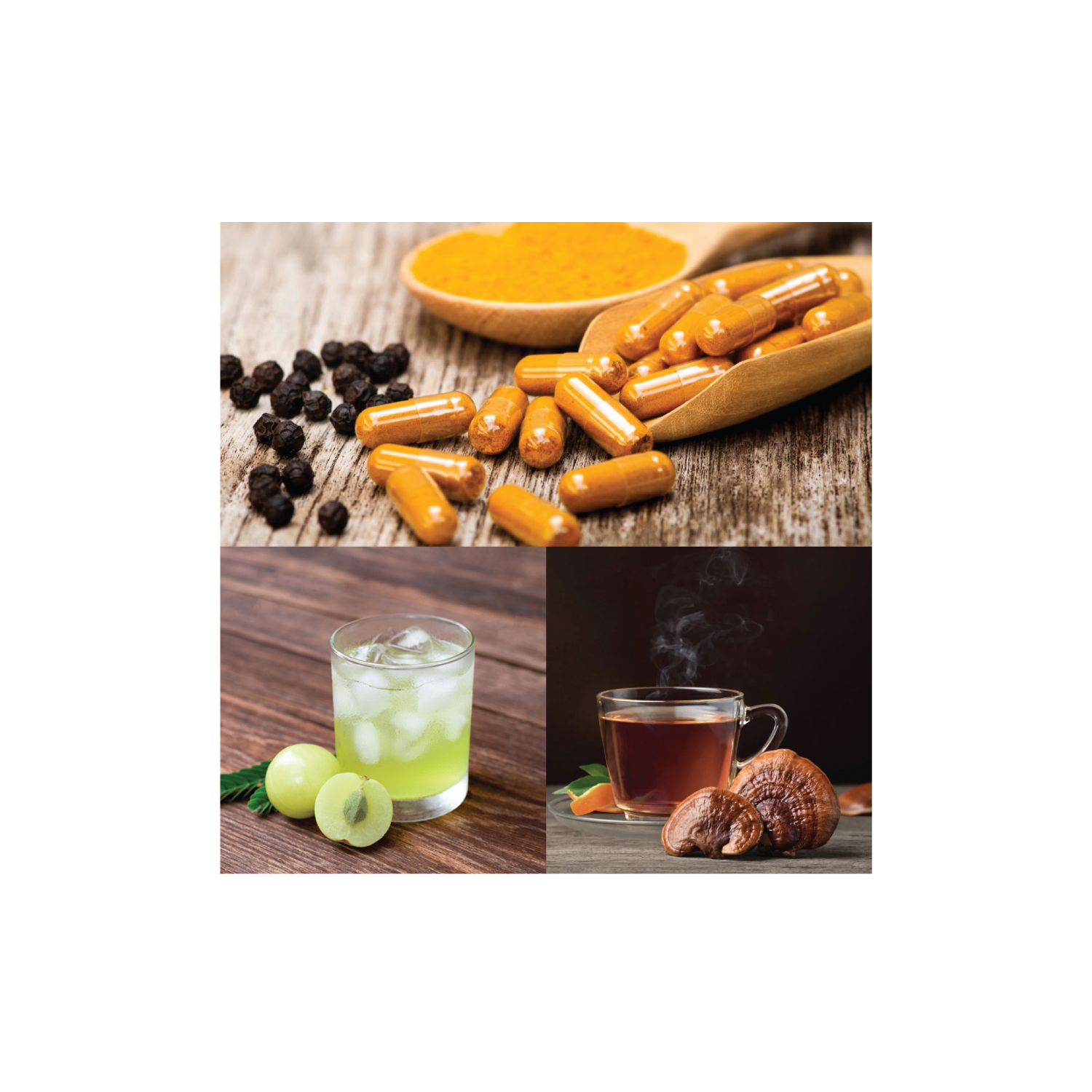 สมุนไพรไทยเพื่อสุขภาพผู้สูงวัย: ขมิ้นชัน, มะขามป้อม และเห็ดหลินจือ – ทางเลือกใหม่ในการดูแลสุขภาพอย่างธรรมชาติ