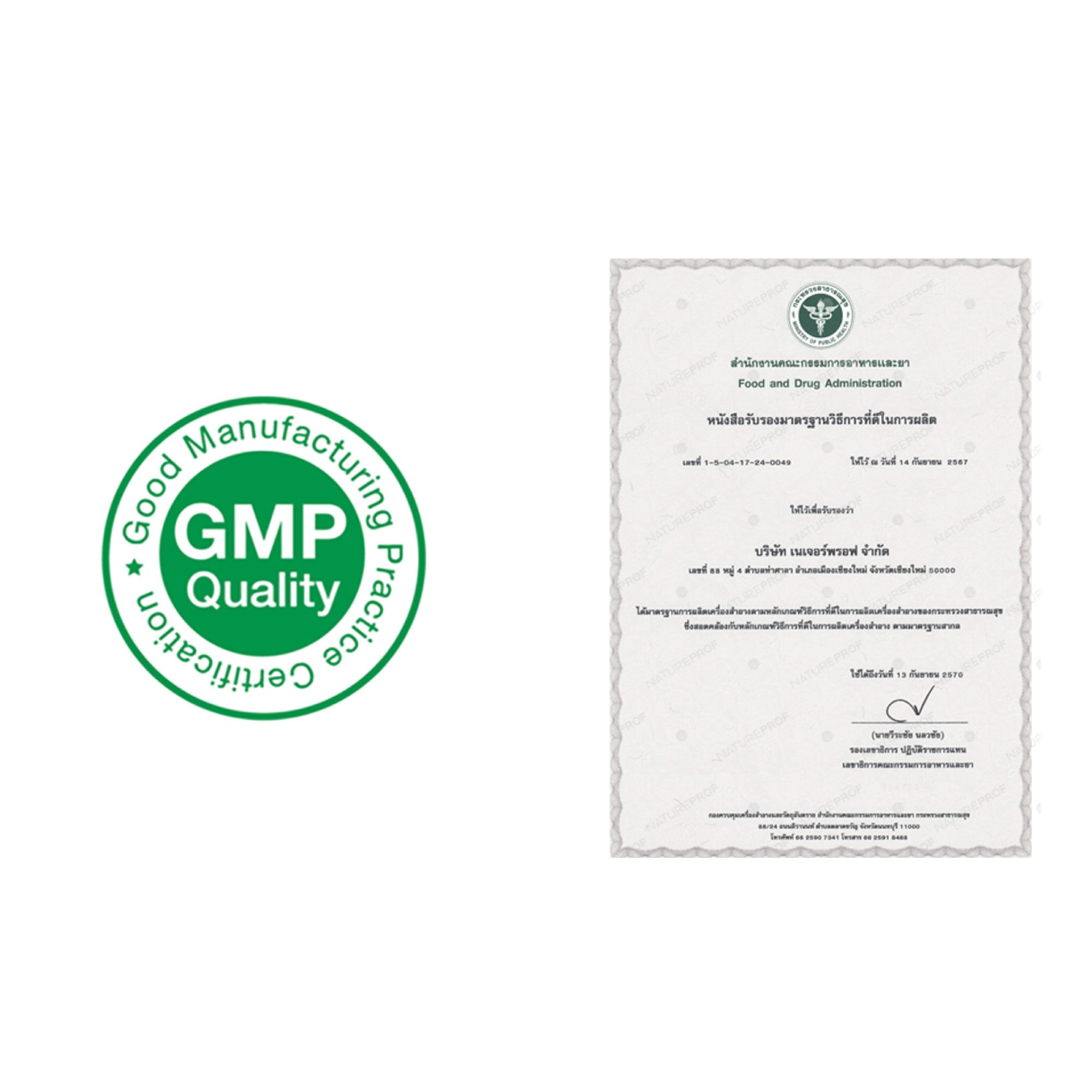 ASEAN COSMETIC GMP document