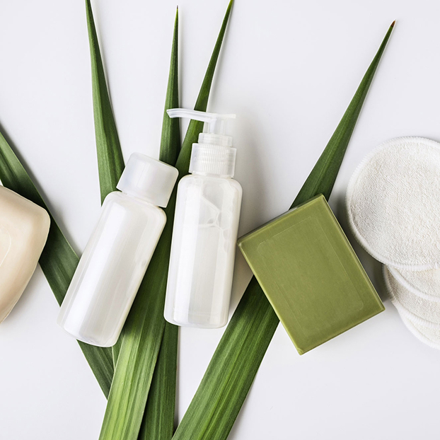 SUSTAINABLE & ORGANIC SERVICE