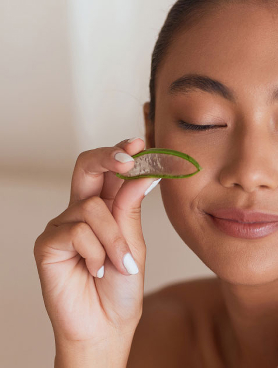 SUSTAINABLE & ORGANIC SERVICE