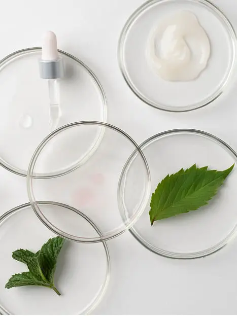 บริการวิจัยและพัฒนาผลิตภัณฑ์