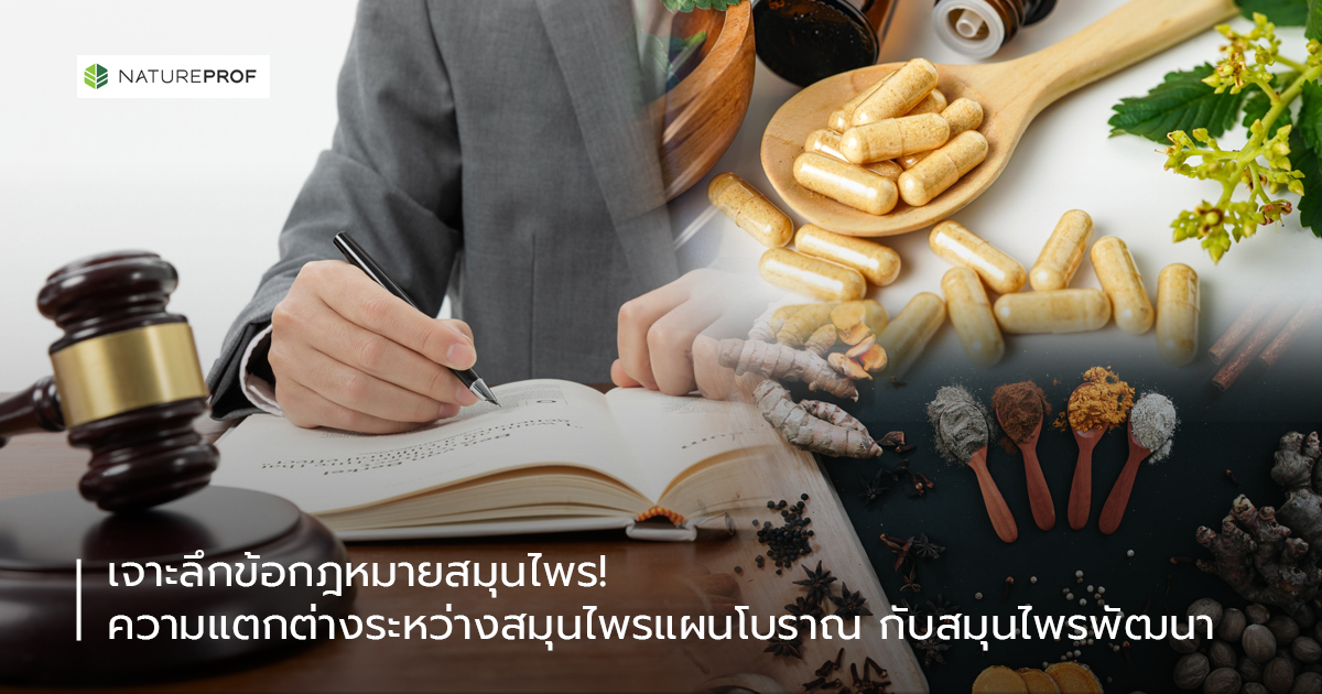 เจาะลึกข้อกฎหมายสมุนไพร ความแตกต่างระหว่างสมุนไพรแผนโบราณกับสมุนไพรพัฒนา