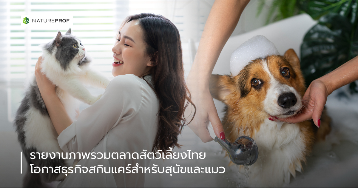 รายงานภาพรวมตลาดสัตว์เลี้ยงไทย  โอกาสธุรกิจสกินแคร์สำหรับสุนัขและแมว