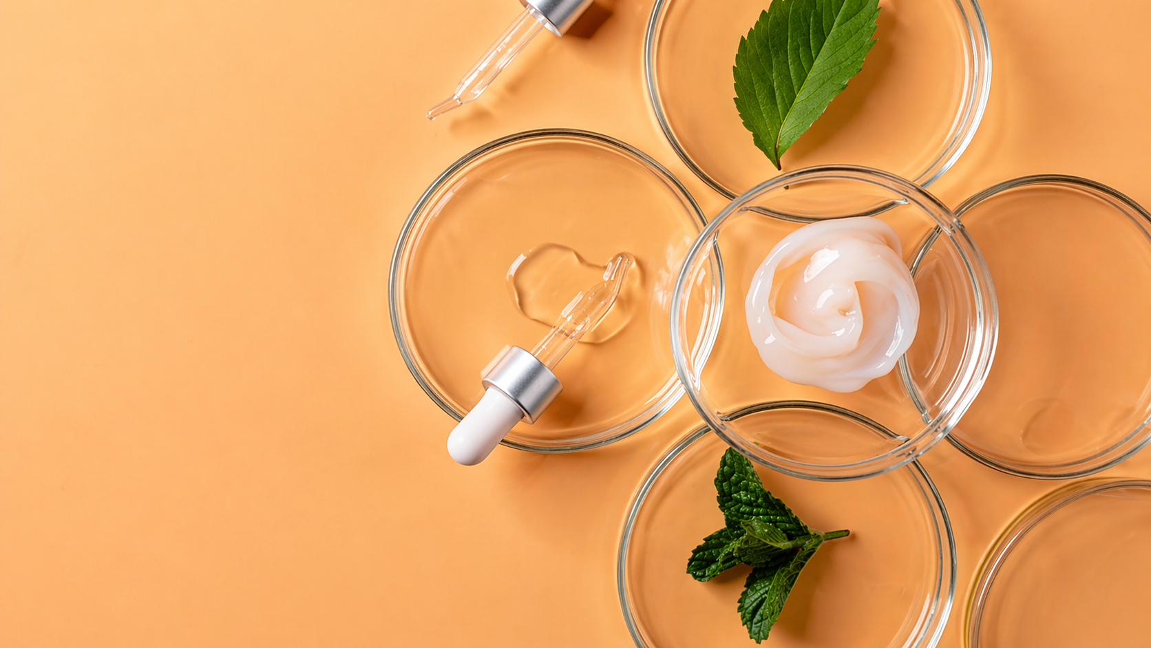 จริยธรรมและความโปร่งใส